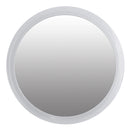 Travel Mirror with Magnification & Suction Cup