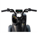 Zvg Heavy-Duty 1000W 60V/20AH Four Wheel All-Terrain Travel Mobility Scooter, 440LBS (SAK91645)