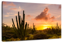 Cactus Sunset Wall Art