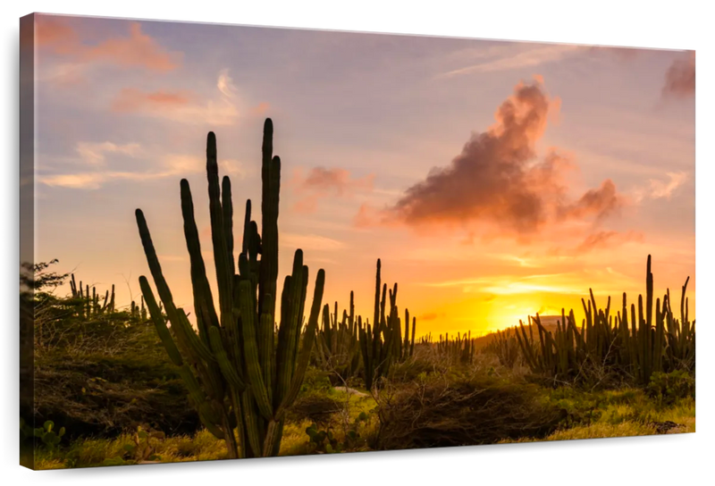 Cactus Sunset Wall Art