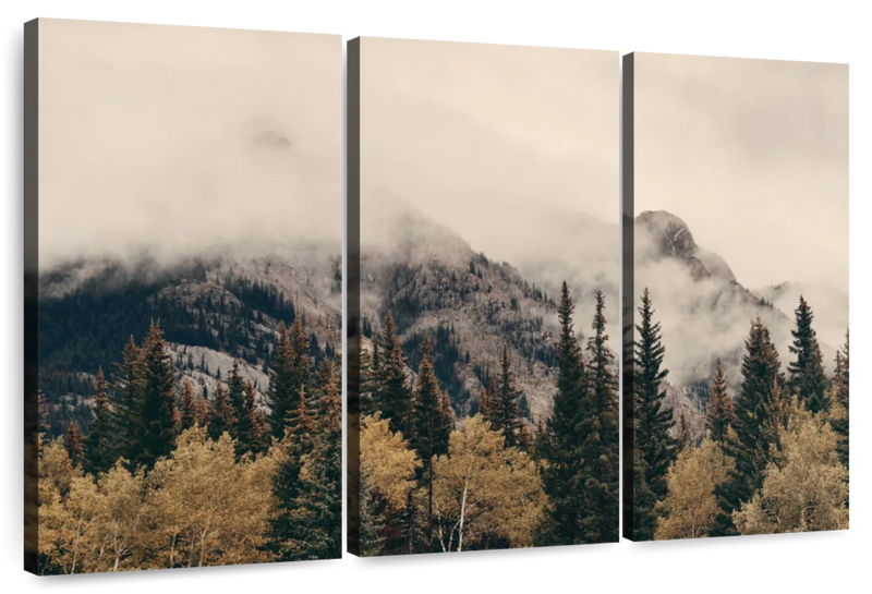 Foggy Banff National Park Wall Art