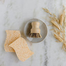 Dish Sponge Mini Kit by ZeroWasteStore.com