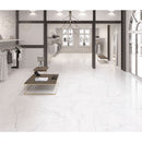 Calacatta Glossy Porcelain Wall and Floor Tile