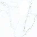 Calacatta Glossy Porcelain Wall and Floor Tile