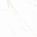 Anka classic carrara gold glossy rectified porcelain wall and floor tile size 24"x24" SKU-165267