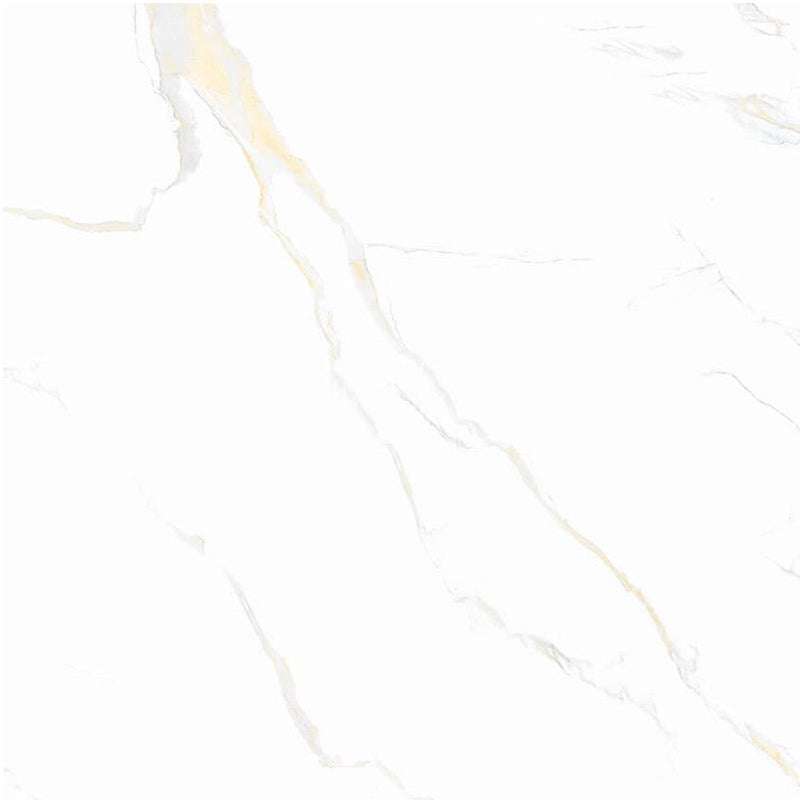 Anka classic carrara gold glossy rectified porcelain wall and floor tile size 24"x24" SKU-165267