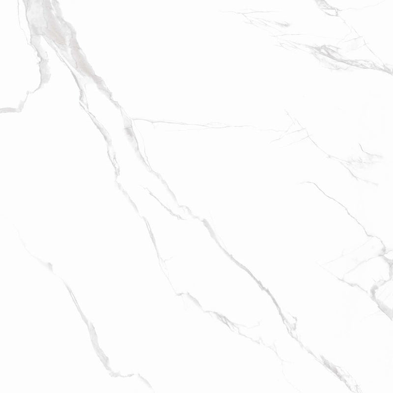 Anka classic carrara silver glossy rectified porcelain wall and floor tile size 24"x24" SKU-165266