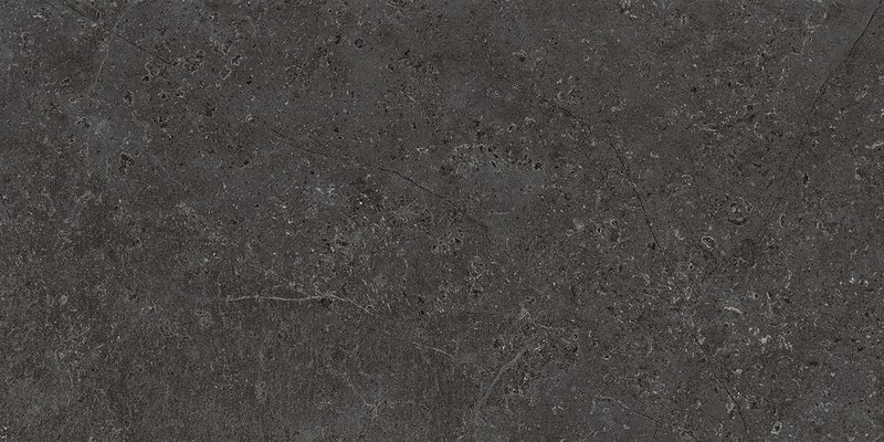 Anka Modena Matte Rectified Porcelain Floor and Wall Tile