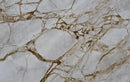 Breccia Onyta Marble Slab