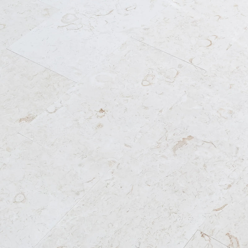 Shell Stone White Limestone Tiles Floor and Wall Tile