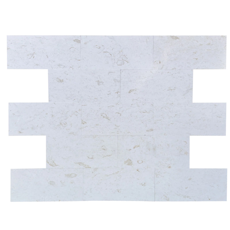 Shell Stone White Limestone Tiles Floor and Wall Tile