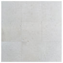 Shell Stone White Limestone Tiles Floor and Wall Tile