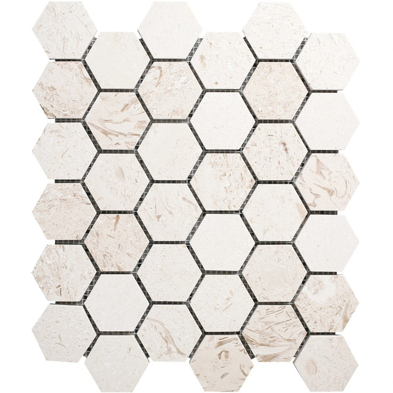 Shell Stone Limestone 2" Hexagon Honed on 12" x 12" Mesh Mosaic Tile SKU-HSSS2HEXMOSH Product shot on white background